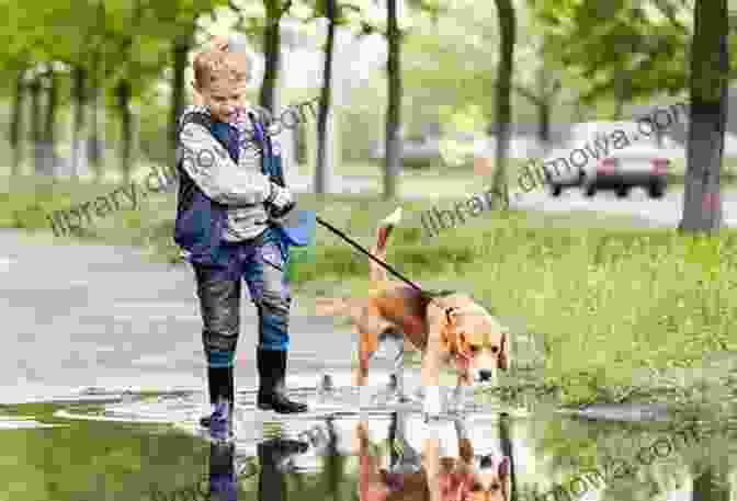 A Child Walking A Dog Otter: What Pet Is Best? (My First I Can Read)