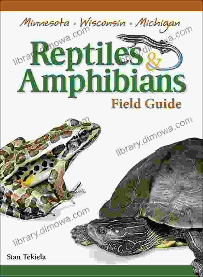 A Comprehensive Field Guide To The Reptiles And Amphibians Of Minnesota, Wisconsin, And Michigan, Featuring Stunning Photography And Expert Insights. Reptiles Amphibians Of Minnesota Wisconsin And Michigan Field Guide