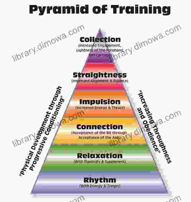 A Diagram Illustrating The Training Pyramid For Classical Flatwork Riding Logic: Transform Riding Skills To Art On Horseback With Classical Lessons In Flatwork And Jumping