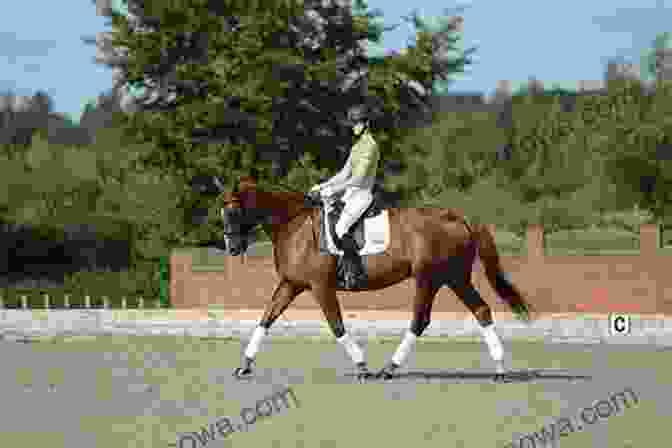 A Horse And Rider Displaying Exceptional Suppleness And Rhythm In Flatwork Riding Logic: Transform Riding Skills To Art On Horseback With Classical Lessons In Flatwork And Jumping