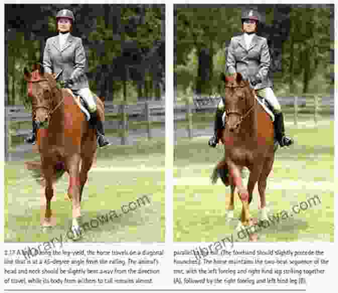 A Horse And Rider Executing A Leg Yield, A Fundamental Lateral Work Exercise Riding Logic: Transform Riding Skills To Art On Horseback With Classical Lessons In Flatwork And Jumping