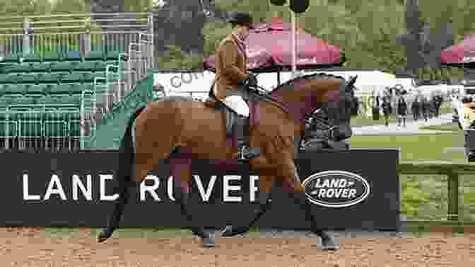 A Judge Carefully Observing A Rider And Horse Tackling A Hunter Course Obstacle. Judging Hunters And Hunter Seat Equitation