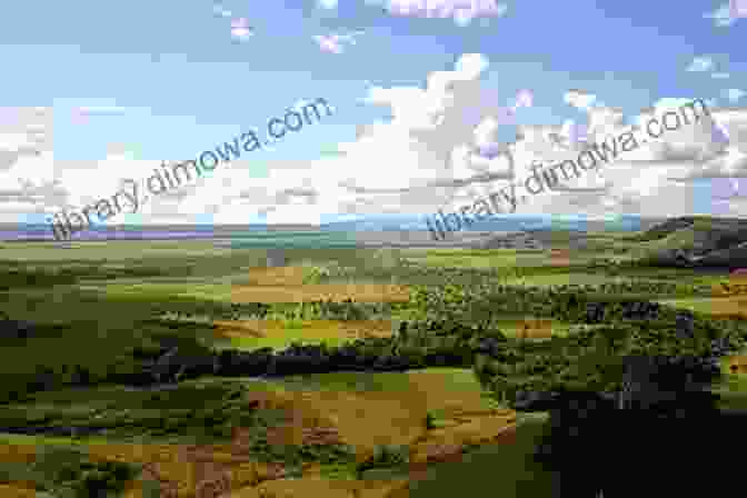 A Panoramic View Of The Llanos Of Venezuela, With Rolling Grasslands, Sparkling Rivers, And Distant Plateaus Travels And Adventures In South And Central America First Series: Life In The Llanos Of Venezuela