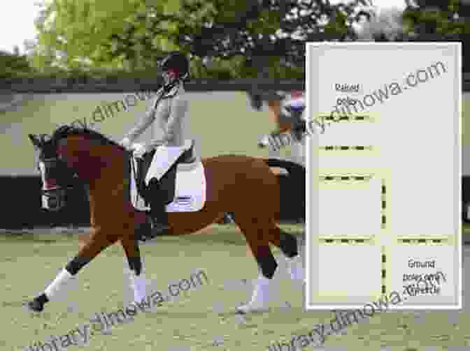 A Rider And Horse Performing Classical Flatwork Exercises Riding Logic: Transform Riding Skills To Art On Horseback With Classical Lessons In Flatwork And Jumping