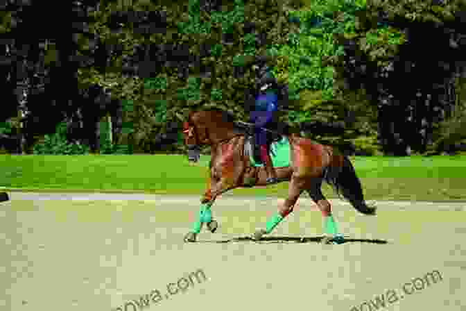 A Rider Demonstrating The Use Of Aids In Classical Flatwork Riding Logic: Transform Riding Skills To Art On Horseback With Classical Lessons In Flatwork And Jumping