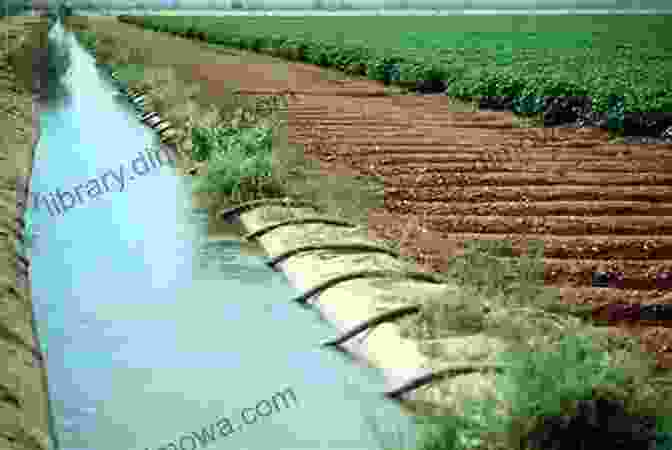 An Irrigation Canal Providing Life Giving Water To Crops In The Lower Brazos River Basin Lower Brazos River Canals (Images Of America)