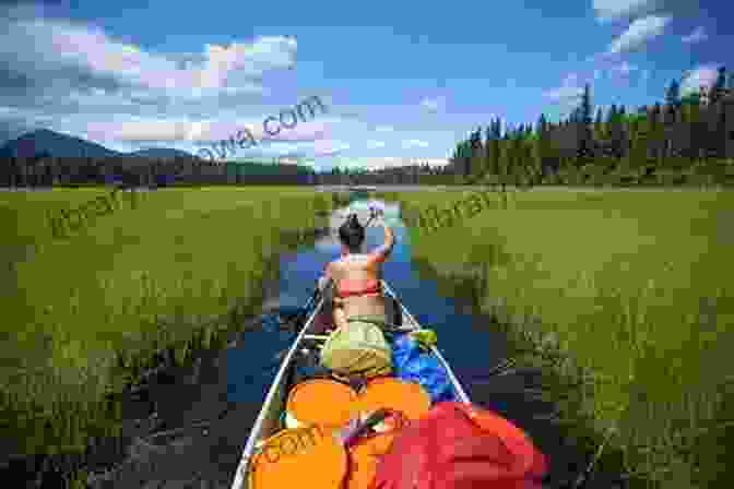 Canoe Gliding Through A Narrow River Surrounded By Dense Forest Once Around Algonquin: An Epic Canoe Journey