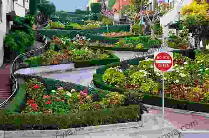 Lombard Street, A Picturesque And Winding Street Known As The 'most Crooked Street In The World' San Francisco Travel: The Top 10 Highlights In San Francisco (Globetrotter Guide Books)