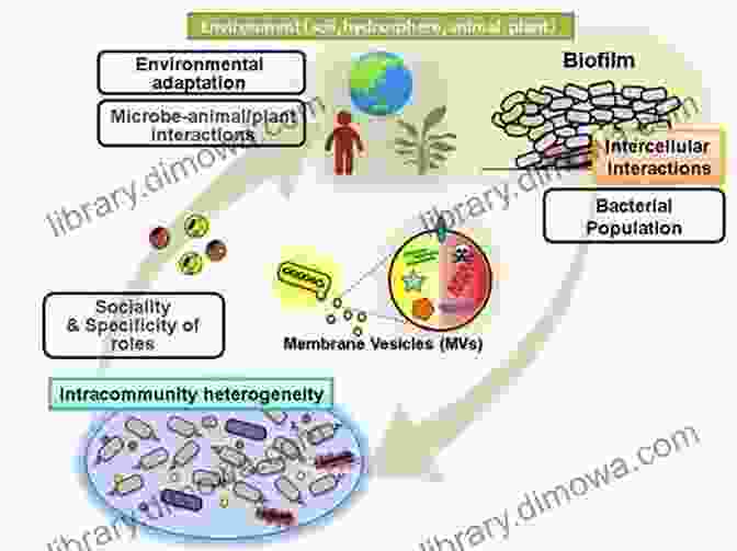 Microbes Have Had A Profound Impact On Human History, Both Positive And Negative Microbes: Microbiology For Curious Children