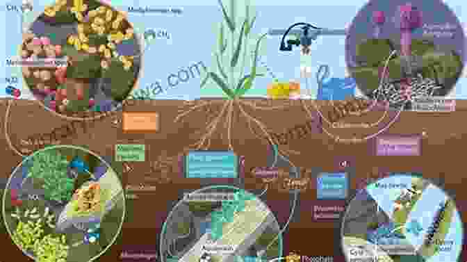 Microbes Play A Crucial Role In Nutrient Cycling, Decomposition, And Climate Regulation Microbes: Microbiology For Curious Children