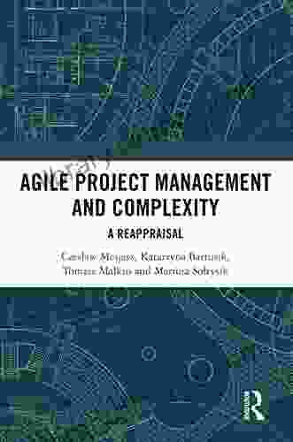 Agile Project Management And Complexity: A Reappraisal