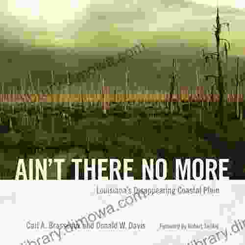 Ain T There No More: Louisiana S Disappearing Coastal Plain (America S Third Coast Series)