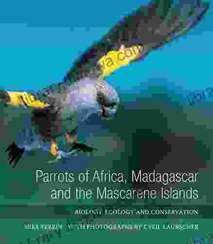 Parrots Of Africa Madagascar And The Ma: Biology Ecology And Conservation