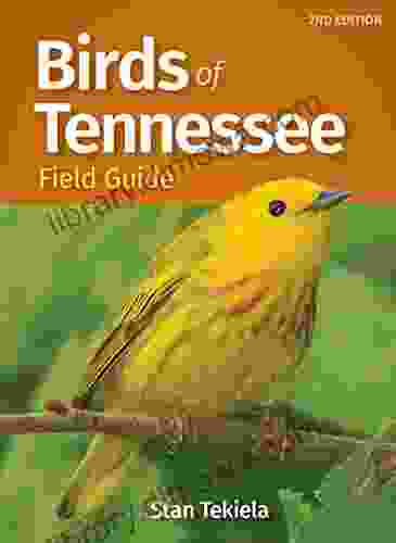 Birds of Tennessee Field Guide (Bird Identification Guides)