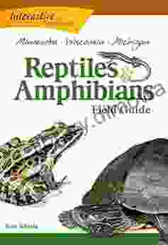 Reptiles Amphibians Of Minnesota Wisconsin And Michigan Field Guide