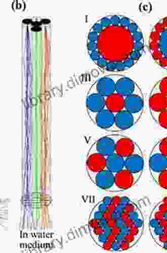 The Fiber Bundle Model: Modeling Failure In Materials (Statistical Physics Of Fracture And Breakdown)