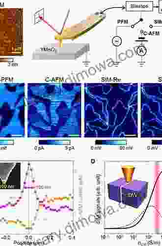 Scanning Probe Studies Of Structural And Functional Properties Of Ferroelectric Domains And Domain Walls (Springer Theses)