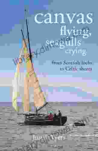 Canvas Flying Seagulls Crying: From Scottish Lochs To Celtic Shores