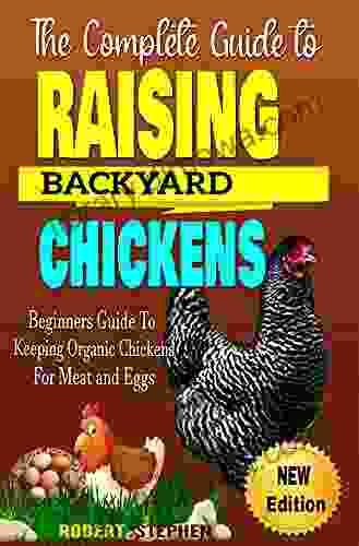 THE COMPLETE GUIDE TO RAISING BACKYARD CHICKENS: Beginners Guide To keeping Organic Chicken for Meat and Eggs