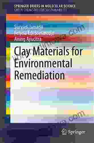 Clay Materials For Environmental Remediation (SpringerBriefs In Molecular Science)