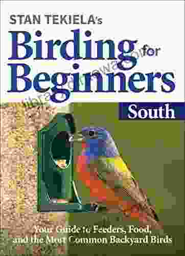 Stan Tekiela S Birding For Beginners: South: Your Guide To Feeders Food And The Most Common Backyard Birds (Bird Watching Basics)