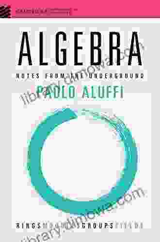 Algebra: Notes From The Underground (Cambridge Mathematical Textbooks)