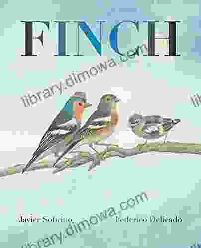 Finch Valliappa Lakshmanan