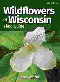 Wildflowers Of Wisconsin Field Guide (Wildflower Identification Guides)